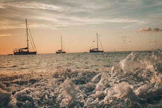 День мечты. Такое утро