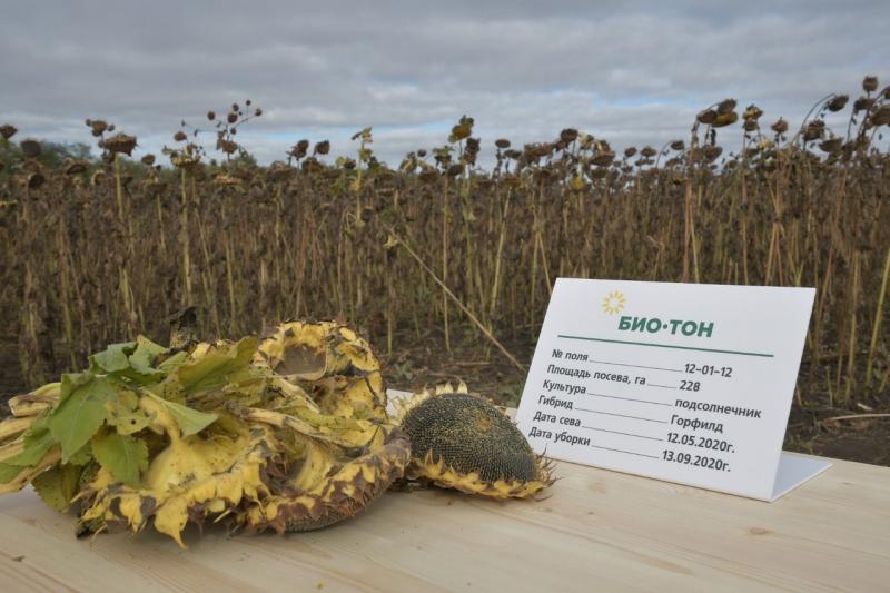 Первый замминистра сельского хозяйства РФ ознакомился с работой крупнейшего производителя подсолнечника