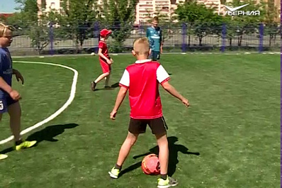 Новый газон появился в одном из дворов Промышленного района Самары