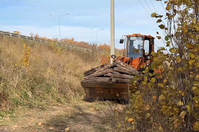 Убрали старые деревья: самарцы привели в порядок территорию на выезде из города