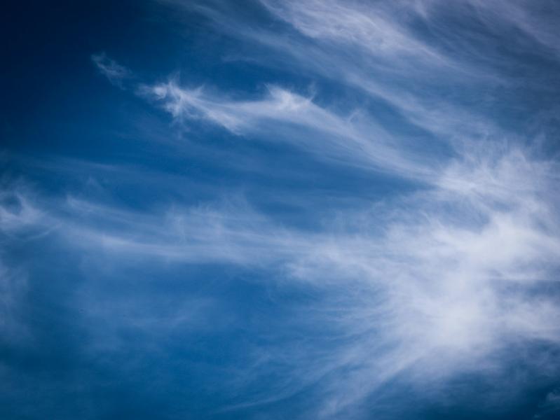 Погода на неделю: в Самаре шесть дней подряд будет сухо и тепло