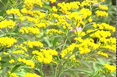 В Самаре начался прием заявок для участия в проекте Твой конструктор двора
