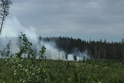 В Тольятти тушат пожар в лесном массиве