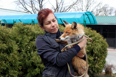 Зоопарк предложили перенести к "Самара Арене"
