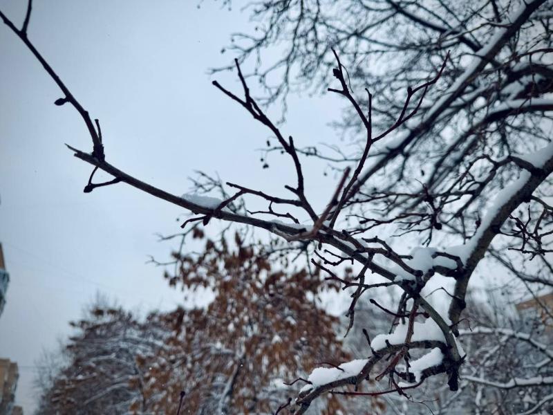 В Самарской области 17 января будет ветрено и снежно 