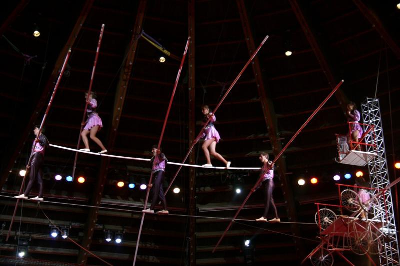 Цирк в Самаре включили в единый госреестр объектов культурного наследия