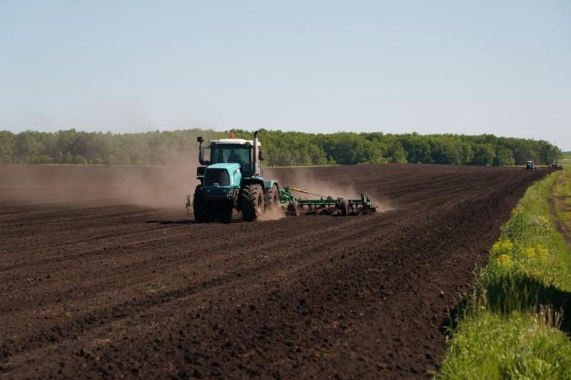 Народные приметы на 27 июня 2025 года: что нельзя делать в этот день