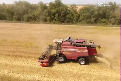В Самарской области завершена уборка зерновых