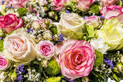 В Самарской области выберут женщину года