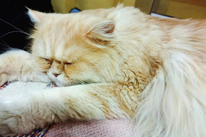 Название статьи