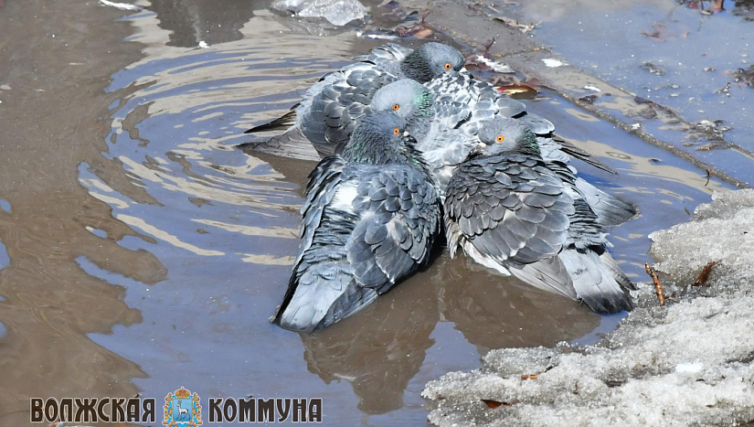 21 марта в истории и архиве "ВК"