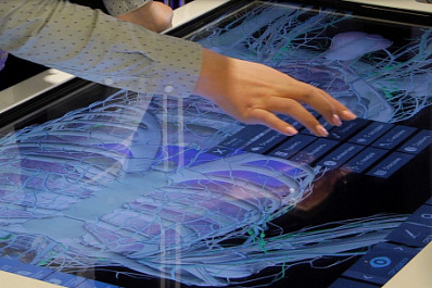 В Самаре подписали меморандум о сотрудничестве в сфере медицинского туризма