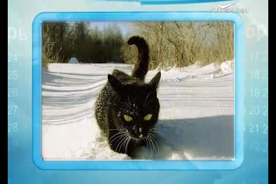 Календарь губернии 28.01.2016