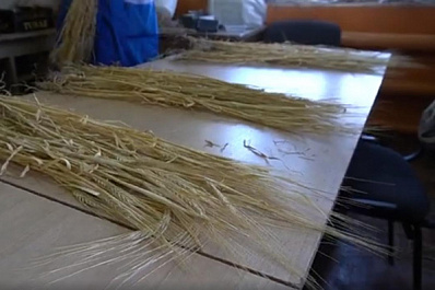 Санкции открывают новые возможности для самарских аграриев