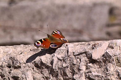 Жители Куйбышевского района вышли на уборку улиц