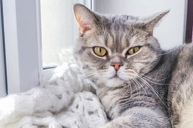 В Самаре завершается отопительный сезон