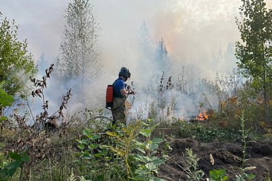 В Тольятти тушат лесной пожар на площади 2 га