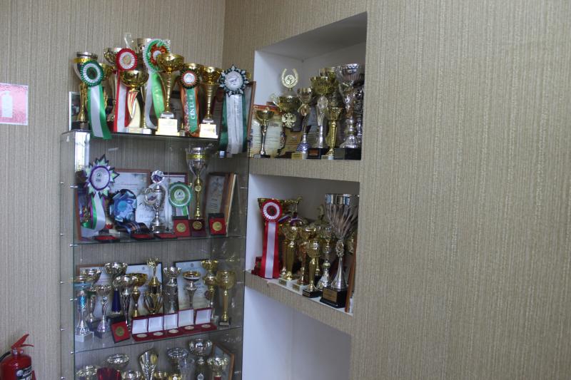 Поле с конем: как в Самарской области выращивают пшеницу и разводят лошадей