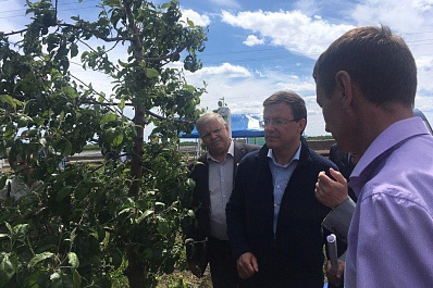 Дмитрий Азаров посетил флагман садоводства Самарской области