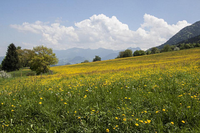 В Самарской области синоптики обещают аномально теплый май 2022 года