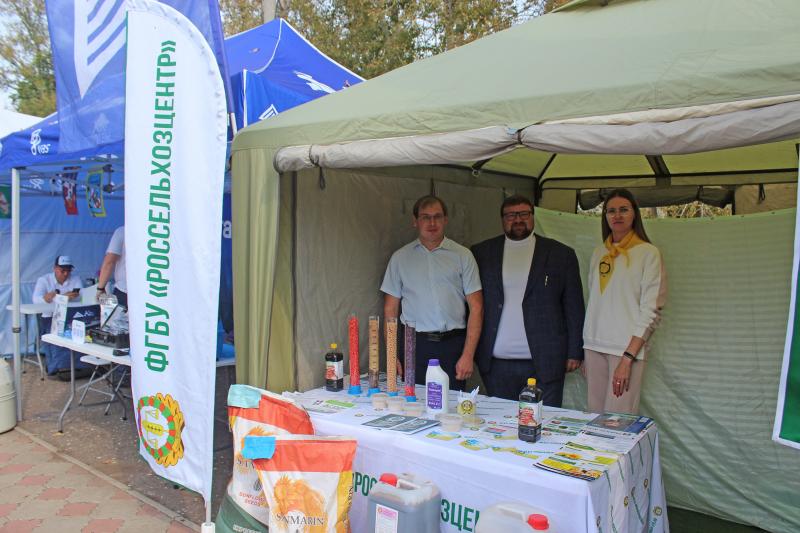 На защите урожая: как растения берегут от болезней