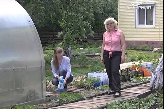 Дачные советы 18.06.2015 