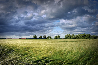 В Самарской области сохранится порывистый ветер 29 мая 2022 года