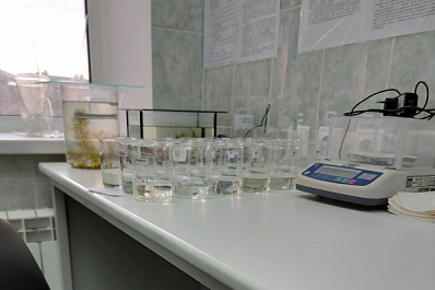 Специалисты не обнаружили высокого загрязнения воды в озере Тольятти, где погибла рыба