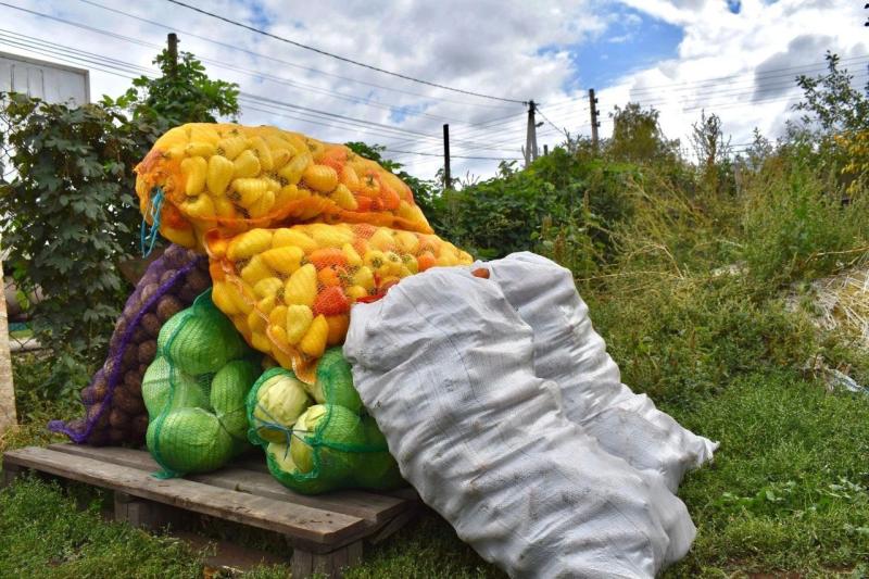 Еще 10 мешков свежих овощей привез житель Кинеля для "сухих борщей" участникам спецоперации