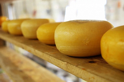 В Самаре пройдет первый фестиваль крафтовых сыров