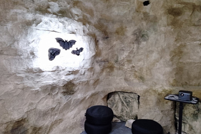 В Жигулёвском заповеднике открыли искусственную пещеру для изучения летучих мышей