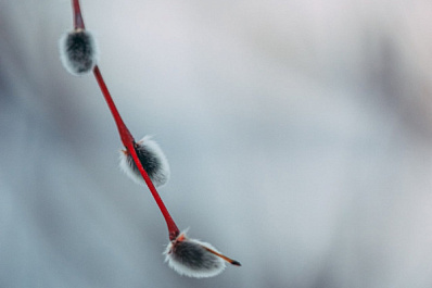 Народные приметы на 21 марта 2025 года: что нельзя делать в этот день