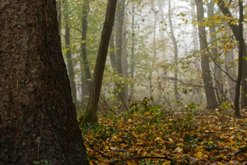 Народные приметы на 27 сентября 2025 года: что нельзя делать в этот день