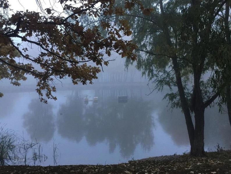 Вот оно какое, бабье лето: в Самарской области на выходных ожидаются туман и грозы