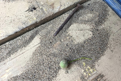 Жители Самары пожаловались на состояние детской площадки в сквере Высоцкого 