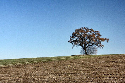Аграрии Самарской области получили более 400 млн рублей на подготовку к посевной