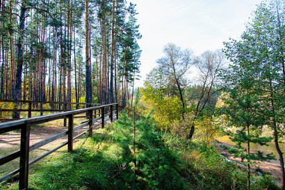 Название статьи