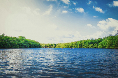 11-летний мальчик мужественно спас из воды птенца сороки