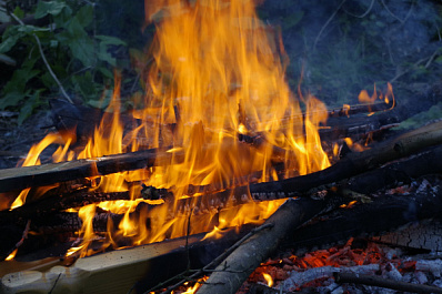В Новосибирске за сжигание травы и мусора на майских праздниках ввели штраф до 400 тысяч рублей