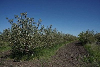 Жители села Абашево присоединились к экологической акции