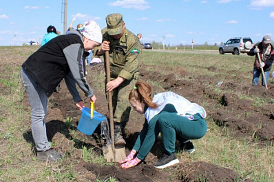 В "Лесу Победы" Клявлинского района высадили новые деревья 