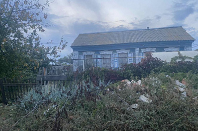 Жителя Самарской области будут судить за убийство кота