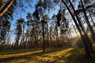 Погода на 19 сентября 2025 года: народные приметы и прогноз синоптиков