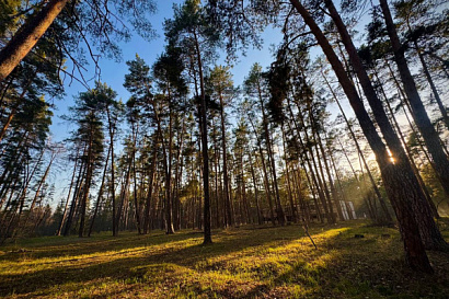 Название статьи