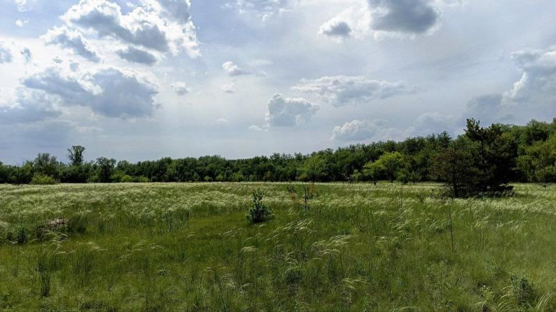 Погода на 26 мая 2025 года: народные приметы и прогноз синоптиков