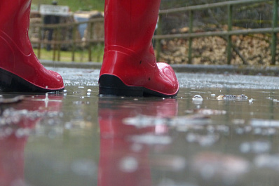 Апрель-2021 в Самарской области начнется с мокрого снега и дождя