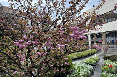 Самарский турагент рассказал, как изменился спрос на отдых в Китае после отмены виз