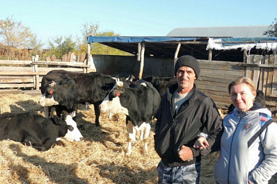 Семья фермеров из Безенчукского района займется производством сыров 