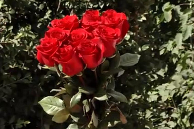 В Самаре почтили память заслуженного тренера СССР Юрия Тюленева