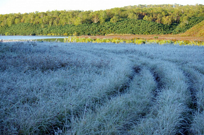 В Самарской области зафиксировали экстремально низкую температуру воздуха